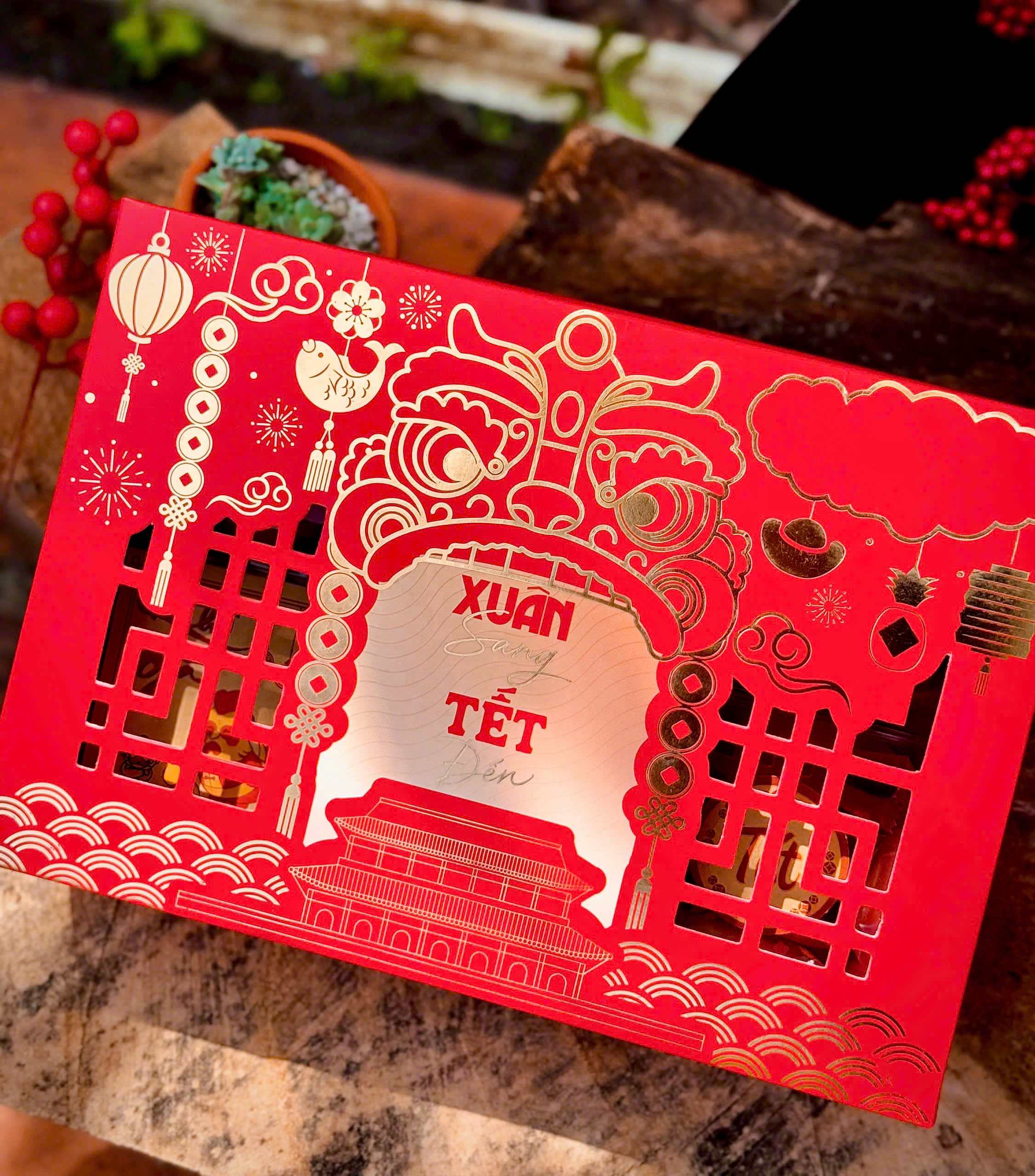 Xuân Sang Tết Đến